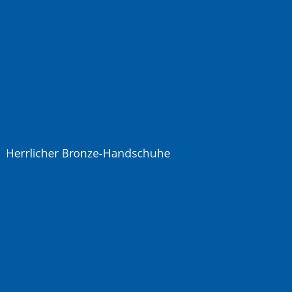 Herrlicher Bronze-Handschuhe